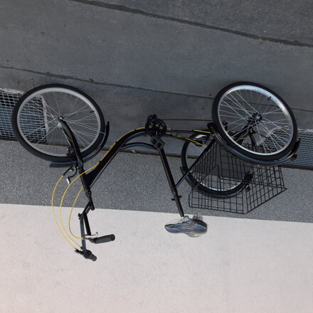 Tříkolka Freedom 24 Disc brake Tříkolka Freedom 24 Disc brake