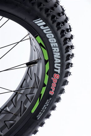 FAT E-BIKE Leader Fox BRAGA 26",2018-1 