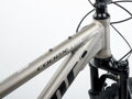 Codex ASL detail 01