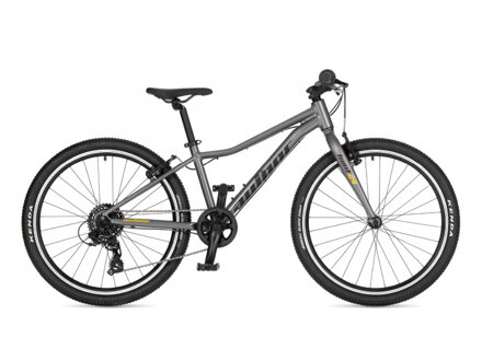 AUTHOR Limit 24 2026 stříbrná/žlutá