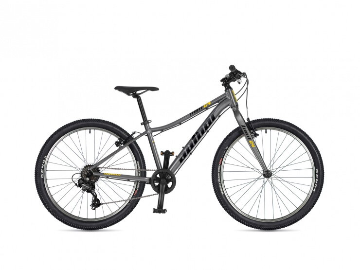 AUTHOR Limit 24 2026 stříbrná/žlutá