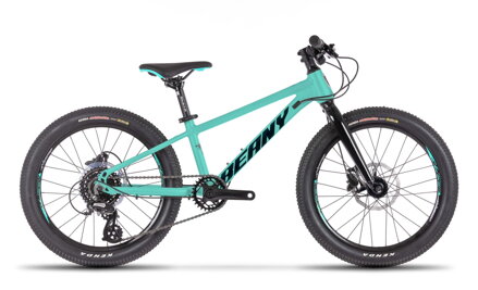 BEANY BLASTER XC 20" mint